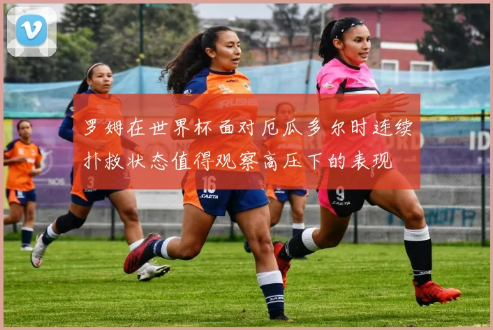 罗姆在世界杯面对厄瓜多尔时连续扑救状态值得观察高压下的表现
