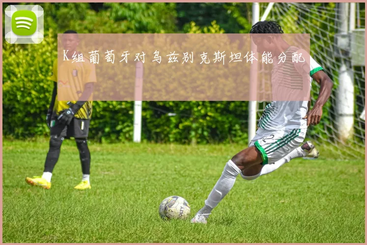 K组葡萄牙对乌兹别克斯坦体能分配