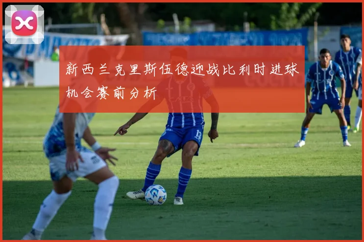 新西兰克里斯伍德迎战比利时进球机会赛前分析