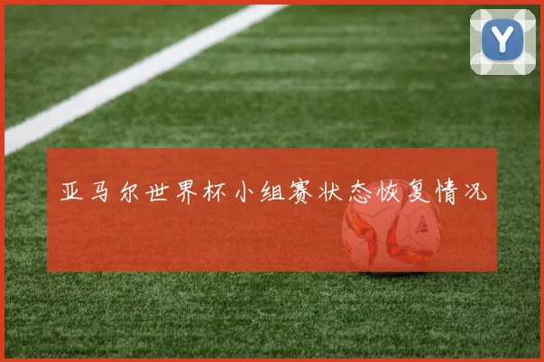 亚马尔世界杯小组赛状态恢复情况