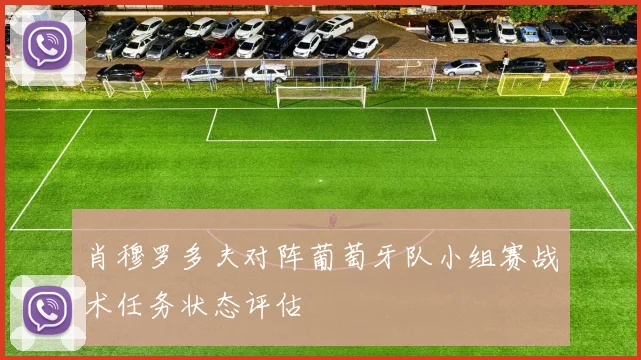 肖穆罗多夫对阵葡萄牙队小组赛战术任务状态评估