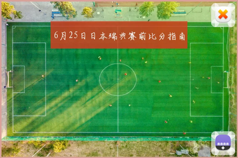 6月25日日本瑞典赛前比分指南