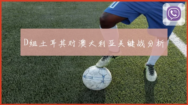 D组土耳其对澳大利亚关键战分析